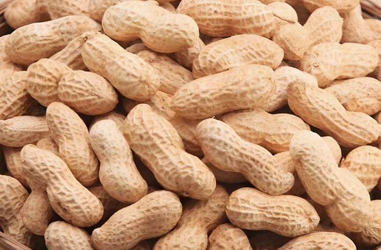 Peanuts