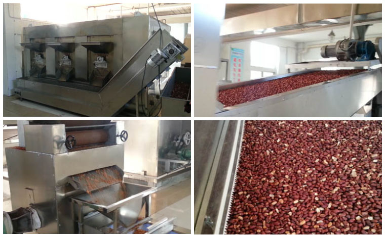 Peanut roasting production line